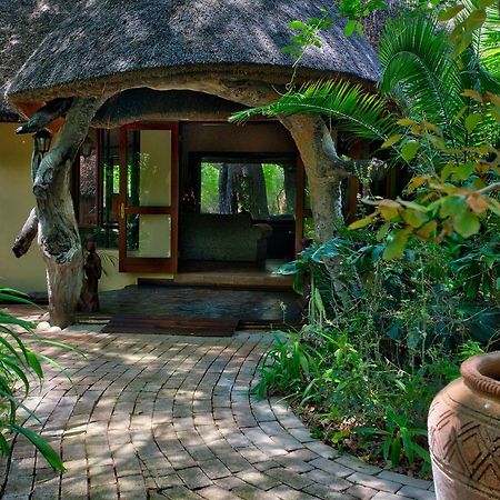 Royal Tree Lodge Maun Bagian luar foto