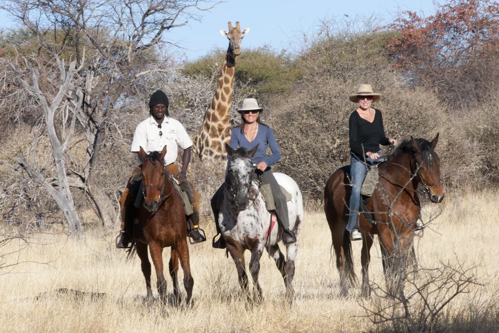 Royal Tree Lodge Maun Bagian luar foto