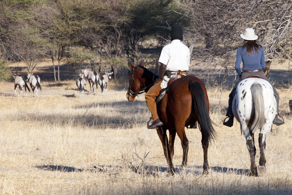 Royal Tree Lodge Maun Bagian luar foto