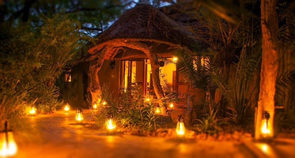 Royal Tree Lodge Maun Bagian luar foto