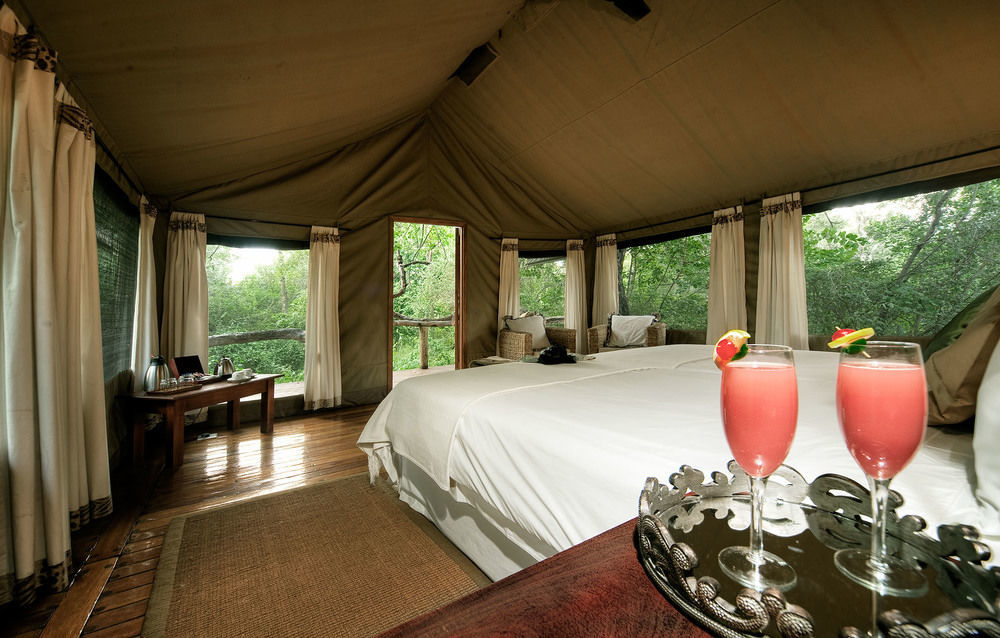 Royal Tree Lodge Maun Bagian luar foto