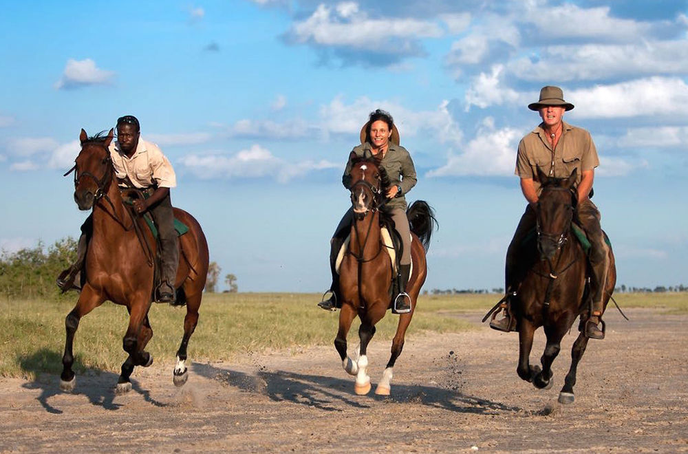Royal Tree Lodge Maun Bagian luar foto