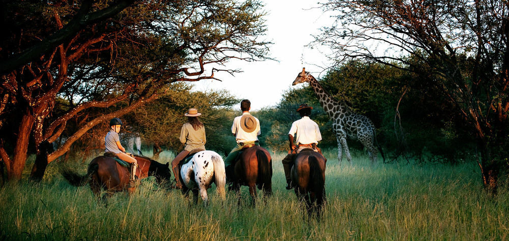 Royal Tree Lodge Maun Bagian luar foto