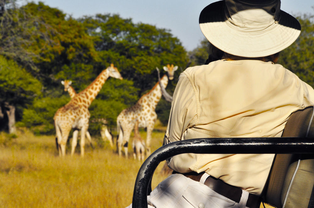 Royal Tree Lodge Maun Bagian luar foto