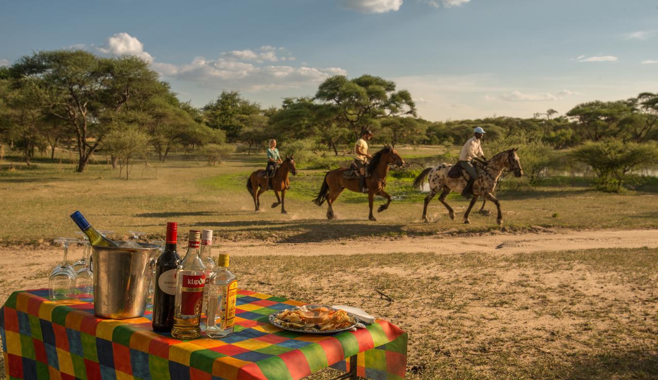 Royal Tree Lodge Maun Bagian luar foto