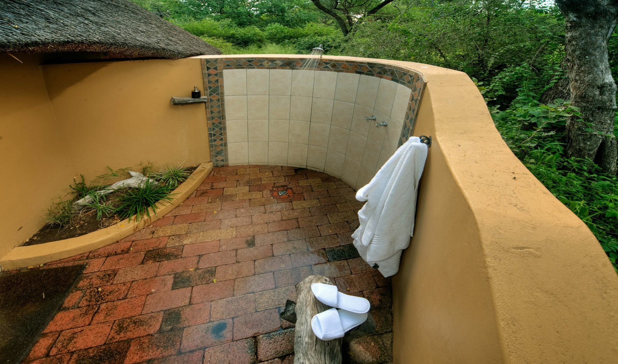 Royal Tree Lodge Maun Bagian luar foto