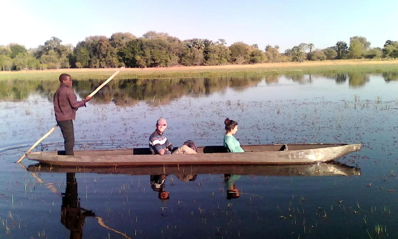 Royal Tree Lodge Maun Bagian luar foto